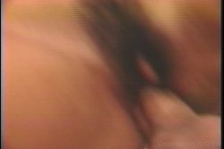 Captura de 'House Of The Rising Sun' nº 116