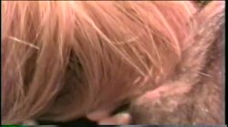 Captura de 'Blow Job University' nº 87