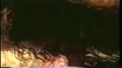 Captura de 'Blow Job University' nº 26