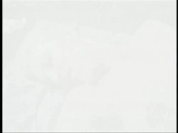 Captura de '4 Finger Club 1' nº 2