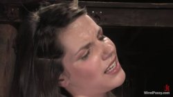 'Wired Pussy 28 - Featuring Bobbi Starr' screenshot nº 42
