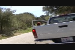 'MILFs In Heat 2' screenshot nº 32