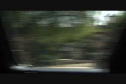'MILFs In Heat 2' screenshot nº 4