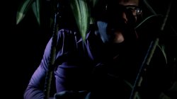 Captura de 'Erotic Suspicions' nº 36