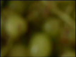 Captura de 'Hold Still' nº 24