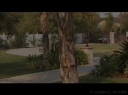 Captura de 'Playgirl's Hottest Housewives' nº 128