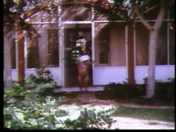 'VHS Vixens: The Wet 80's' screenshot nº 11