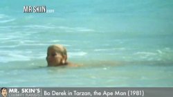 Captura de 'Mr. Skin's Favorite Nude Scenes of 1981' nº 38