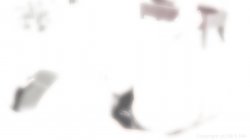 Captura de 'Strip Tease Then Fuck 12' nº 35