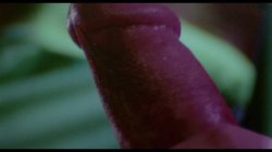 Captura de 'Barbara Broadcast' nº 130
