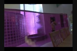 Captura de 'Euro Anal Master' nº 23