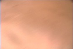 'Anal Perversions 3' screenshot nº 32