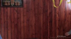 'Pee-Wee's XXX Adventure: A Porn Parody' screenshot nº 67