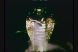 Captura de 'Devil's Ecstasy' nº 53