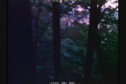 Captura de 'Devil's Ecstasy' nº 61