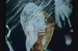 Captura de 'Devil's Ecstasy' nº 3
