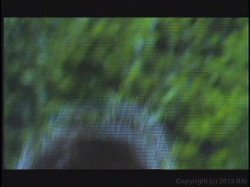 'Star 69: Award Winning Scenes' screenshot nº 123