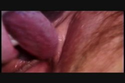 'Puritan Video Magazine 15' screenshot nº 8