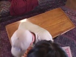 Captura de 'Big Sausage Pizza' nº 18