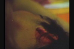 Captura de 'Free and Foxy' nº 61