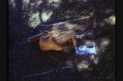 Captura de 'Free and Foxy' nº 87