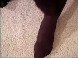 Captura de 'Best Of J/O Pantyhose - POV' nº 17