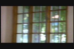 'Back and Beyond' screenshot nº 4
