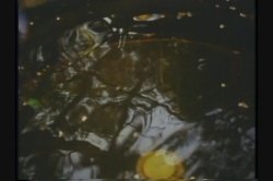 'Raincoat Crowd' screenshot nº 52