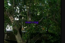 Captura de 'Sweet Imagination' nº 1