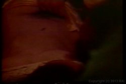 'Debbie Does Anal' screenshot nº 136