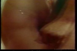 'Debbie Does Anal' screenshot nº 20