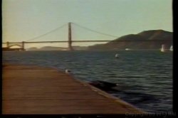 'Debbie Does Anal' screenshot nº 2