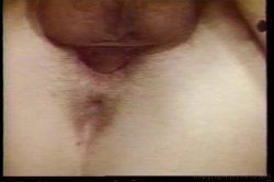 'Debbie Does Anal' screenshot nº 39