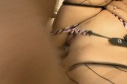 Captura de 'Curry Cream Pies' nº 14