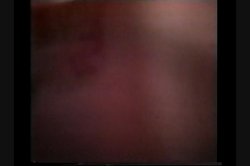 Captura de 'Erection Central - The TV Show' nº 112