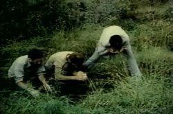 'Farmer's Daughters' screenshot nº 60