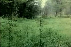 'Farmer's Daughters' screenshot nº 62