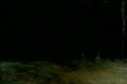'Farmer's Daughters' screenshot nº 1