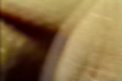 'Farmer's Daughters' screenshot nº 106