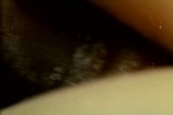 'Farmer's Daughters' screenshot nº 120