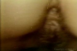 'Farmer's Daughters' screenshot nº 126