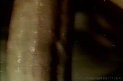 'Farmer's Daughters' screenshot nº 29