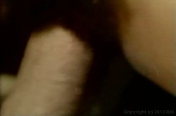 'Farmer's Daughters' screenshot nº 33
