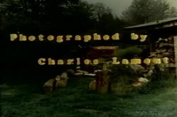 'Farmer's Daughters' screenshot nº 4
