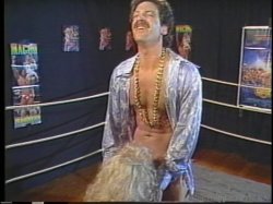 Captura de 'Superstars of Porn: Britt Morgan' nº 116