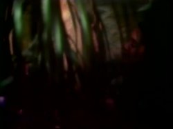 Captura de 'Exploring Young Girls' nº 88