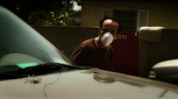 Captura de 'Texas Vibrator Massacre' nº 5