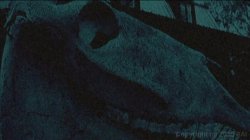 Captura de 'Texas Vibrator Massacre' nº 76