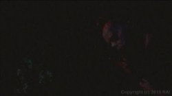 Captura de 'Texas Vibrator Massacre' nº 77