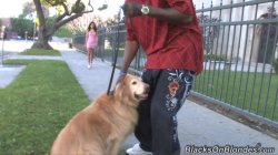 'Race Relations 4' screenshot nº 79
